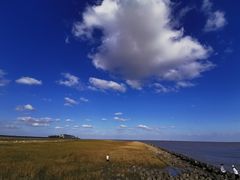 -南汇嘴观海公园