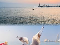 -栈桥景区