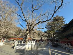 -潭柘寺景区