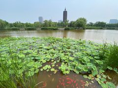 -西海子公园