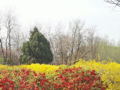-古塔公园