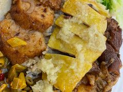 -瑞霖·隆江猪脚饭