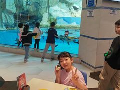 -帝企鹅自助餐厅•儿童岛•真企鹅(长隆企鹅酒店)