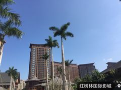 -三亚湾红树林度假世界(木棉酒店)