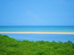 -北海金海湾红树林生态旅游区