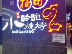 -福苗小骆驼烧烤(太奥广场店)