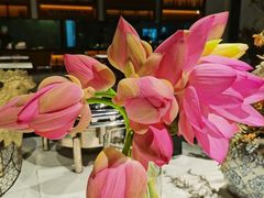 -禧宴Joyous Restaurant(禧园店)