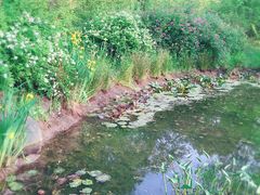 -新江湾城公园