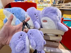 -大连圣亚海洋世界