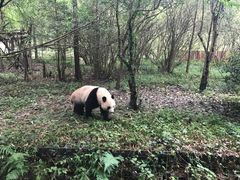 -宫廷糕点铺