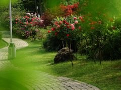 -铁山坪森林公园