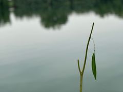 -漕湖湿地公园