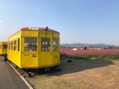 -径山花海