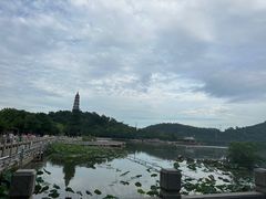 -顺峰山公园