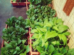 -聚缘堂·海鲜私房菜(松岭路店)