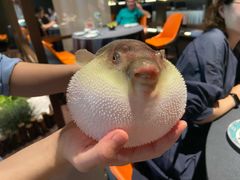 -肆月河豚·淮扬菜·湘菜(华天店)