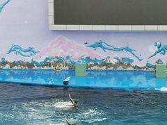 -北戴河圣蓝海洋公园