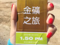 -疏芬山金矿
