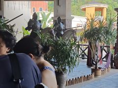 -重庆海昌加勒比海水世界