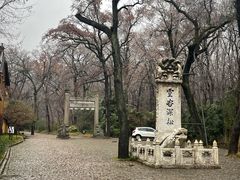 -灵谷景区