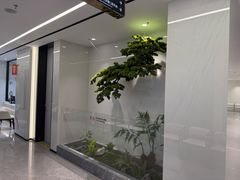 -深圳麦芽口腔医院(罗湖总院)