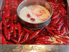 -月满大江火锅(总府路店)