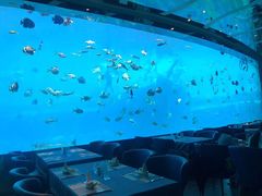 -瑞德姆美人鱼海底演艺主题餐厅(亚龙湾店)