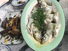 -阿巧茶庄
