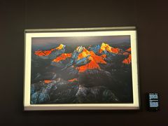 -罗红摄影艺术馆