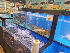 水产区-盒马鲜生(皇庭广场店)