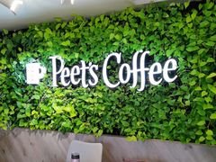 -Peet's Coffee皮爷咖啡(大学路店)