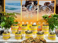 -裕龙汤泉
