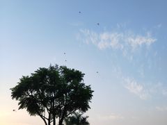 -东莞植物园