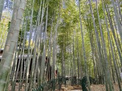 -宝岩生态观光园