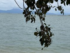 -海角城白海豚浪漫海滩