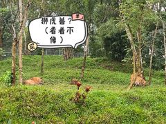 -海南热带野生动植物园
