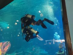 -烟台海昌鲸鲨海洋公园