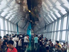 -上海环球金融中心云端足球盛典