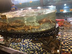 -顺德了能馆(虎门店)