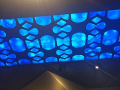 -bluefrog蓝蛙(水游城店)