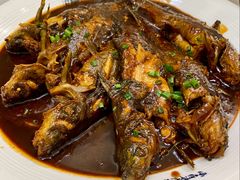 红烧昂子鱼-状元楼(金溪路店)