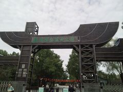 -溱湖国家湿地公园