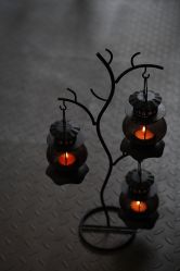 店内环境-老黑造型