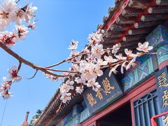 -天津盘山风景名胜区