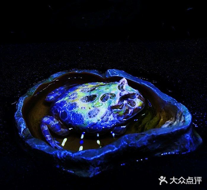 带宝贝一起给宝贝们玩耍吧！