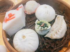 -富春茶社(国庆路店)