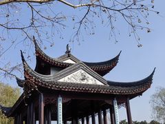 -枫桥景区