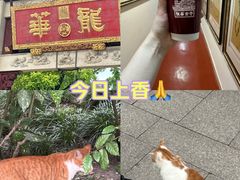 -龙华寺