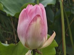 -苏州吴中太湖旅游区