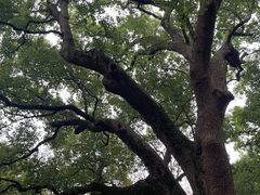-城隍阁